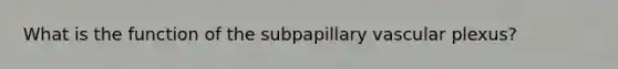 What is the function of the subpapillary vascular plexus?