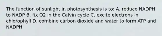 The function of sunlight in photosynthesis is to: A. reduce NADPH to NADP B. fix O2 in the Calvin cycle C. excite electrons in chlorophyll D. combine carbon dioxide and water to form ATP and NADPH