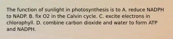 The function of sunlight in photosynthesis is to A. reduce NADPH to NADP. B. fix O2 in the Calvin cycle. C. excite electrons in chlorophyll. D. combine carbon dioxide and water to form ATP and NADPH.