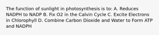 The function of sunlight in photosynthesis is to: A. Reduces NADPH to NADP B. Fix O2 in the Calvin Cycle C. Excite Electrons in Chlorophyll D. Combine Carbon Dioxide and Water to Form ATP and NADPH