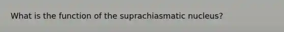 What is the function of the suprachiasmatic nucleus?