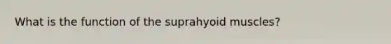 What is the function of the suprahyoid muscles?