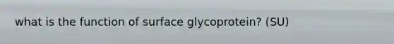 what is the function of surface glycoprotein? (SU)