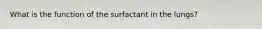 What is the function of the surfactant in the lungs?