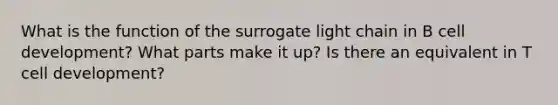 What is the function of the surrogate light chain in B cell development? What parts make it up? Is there an equivalent in T cell development?