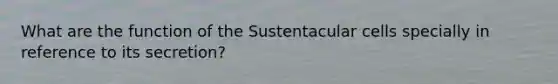 What are the function of the Sustentacular cells specially in reference to its secretion?