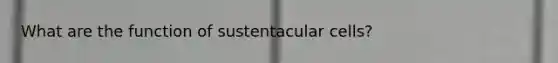 What are the function of sustentacular cells?