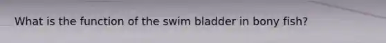 What is the function of the swim bladder in bony fish?