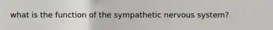 what is the function of the sympathetic nervous system?