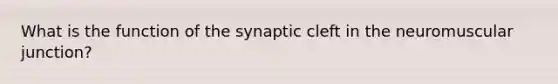 What is the function of the synaptic cleft in the neuromuscular junction?