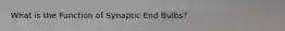 What is the Function of Synaptic End Bulbs?