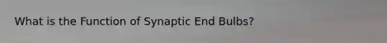 What is the Function of Synaptic End Bulbs?