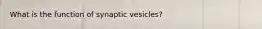 What is the function of synaptic vesicles?