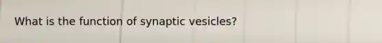 What is the function of synaptic vesicles?