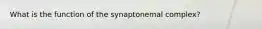 What is the function of the synaptonemal complex?