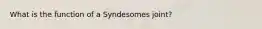 What is the function of a Syndesomes joint?