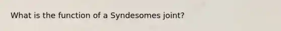 What is the function of a Syndesomes joint?