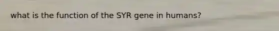 what is the function of the SYR gene in humans?