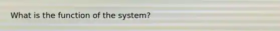 What is the function of the system?