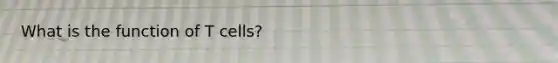 What is the function of T cells?