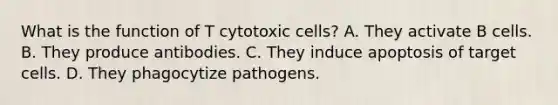 What is the function of T cytotoxic cells? A. They activate B cells. B. They produce antibodies. C. They induce apoptosis of target cells. D. They phagocytize pathogens.