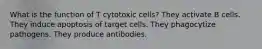 What is the function of T cytotoxic cells? They activate B cells. They induce apoptosis of target cells. They phagocytize pathogens. They produce antibodies.