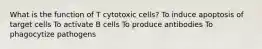 What is the function of T cytotoxic cells? To induce apoptosis of target cells To activate B cells To produce antibodies To phagocytize pathogens