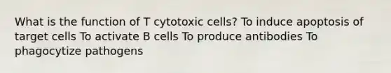 What is the function of T cytotoxic cells? To induce apoptosis of target cells To activate B cells To produce antibodies To phagocytize pathogens