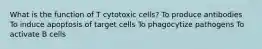 What is the function of T cytotoxic cells? To produce antibodies To induce apoptosis of target cells To phagocytize pathogens To activate B cells