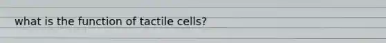 what is the function of tactile cells?