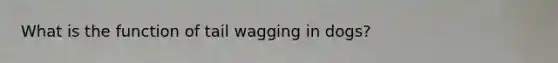 What is the function of tail wagging in dogs?