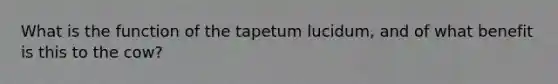 What is the function of the tapetum lucidum, and of what benefit is this to the cow?