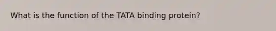 What is the function of the TATA binding protein?