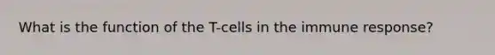 What is the function of the T-cells in the immune response?