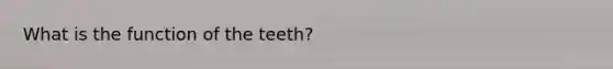 What is the function of the teeth?