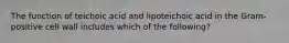 The function of teichoic acid and lipoteichoic acid in the Gram-positive cell wall includes which of the following?