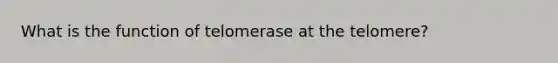 What is the function of telomerase at the telomere?