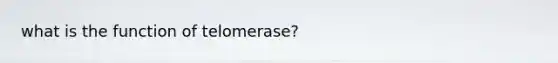 what is the function of telomerase?