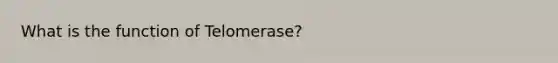 What is the function of Telomerase?