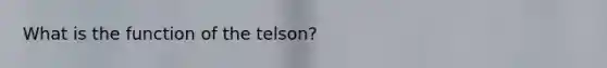 What is the function of the telson?