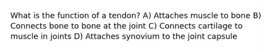 What is the function of a tendon? A) Attaches muscle to bone B) Connects bone to bone at the joint C) Connects cartilage to muscle in joints D) Attaches synovium to the joint capsule