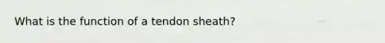 What is the function of a tendon sheath?