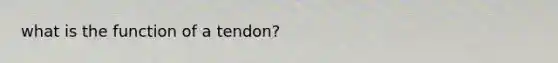 what is the function of a tendon?