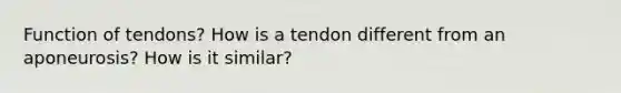 Function of tendons? How is a tendon different from an aponeurosis? How is it similar?