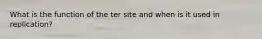 What is the function of the ter site and when is it used in replication?