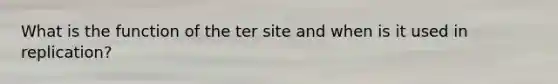 What is the function of the ter site and when is it used in replication?