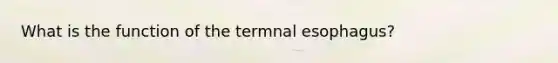 What is the function of the termnal esophagus?