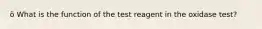 ö What is the function of the test reagent in the oxidase test?