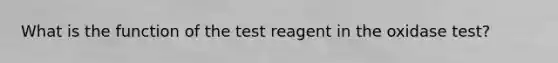 What is the function of the test reagent in the oxidase test?