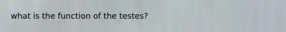 what is the function of the testes?